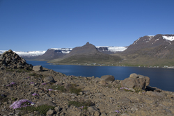 Isafjardardjup (Westfjorde)